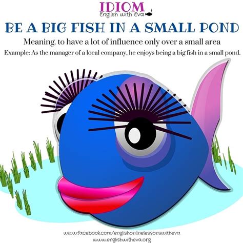 nigfish|big fish meaning.